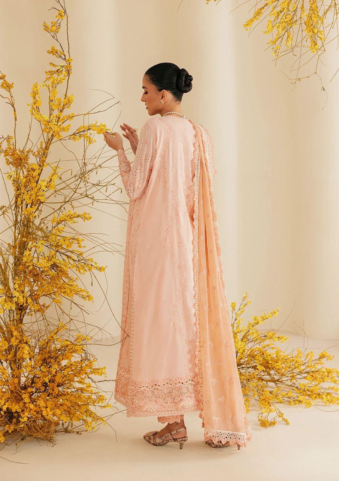 AIK Atelier Egyptian Cotton THSUS-0013